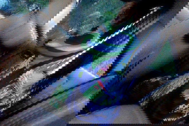 zommmbri instagram image archive image