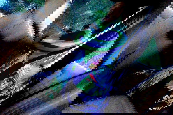 zommmbri image ~ Altpins