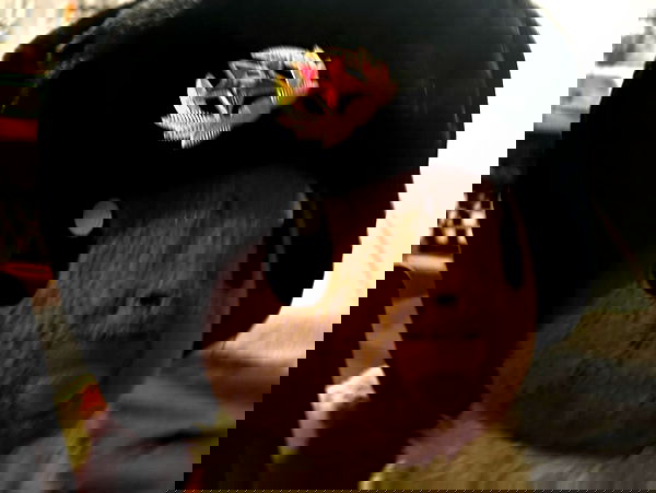 zommmbri image ~ Altpins