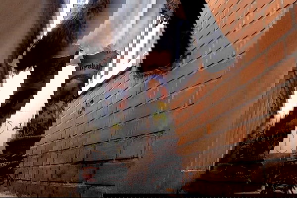 zommmbri image ~ Altpins