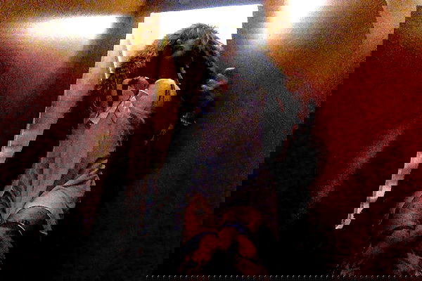 zommmbri image ~ Altpins