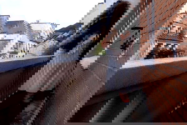 zommmbri image ~ Altpins