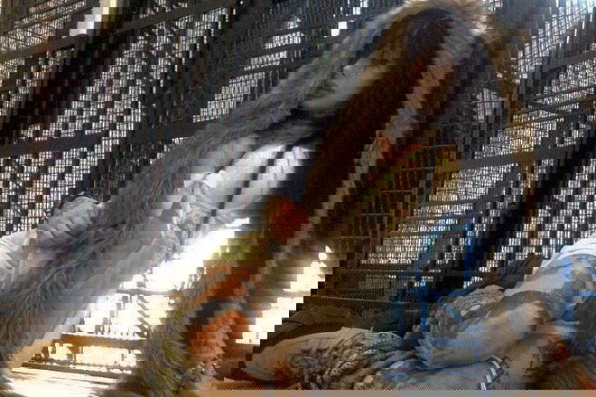 zommmbri instagram image archive image