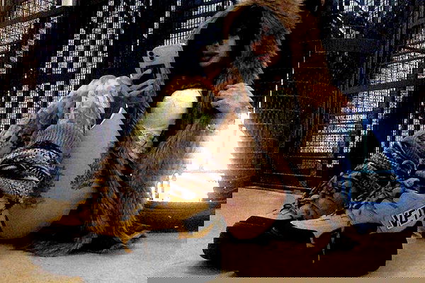 zommmbri image ~ Altpins