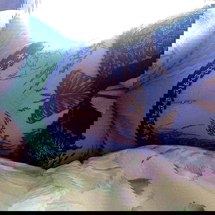 zommmbri image ~ Altpins