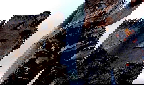 zommmbri image ~ Altpins