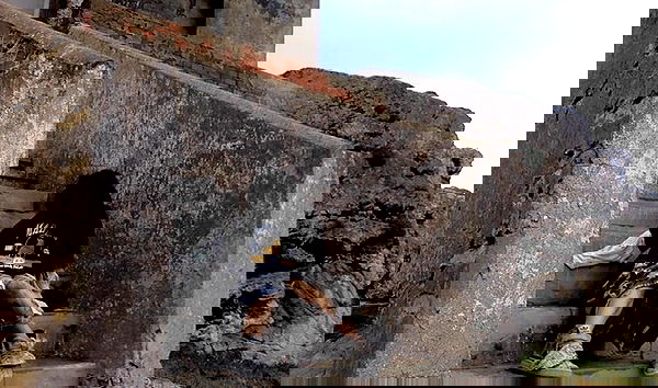 zommmbri image ~ Altpins