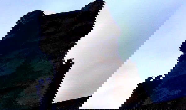 zommmbri image ~ Altpins