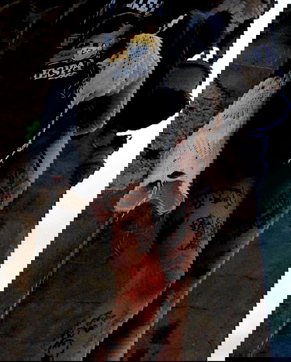 zommmbri image ~ Altpins