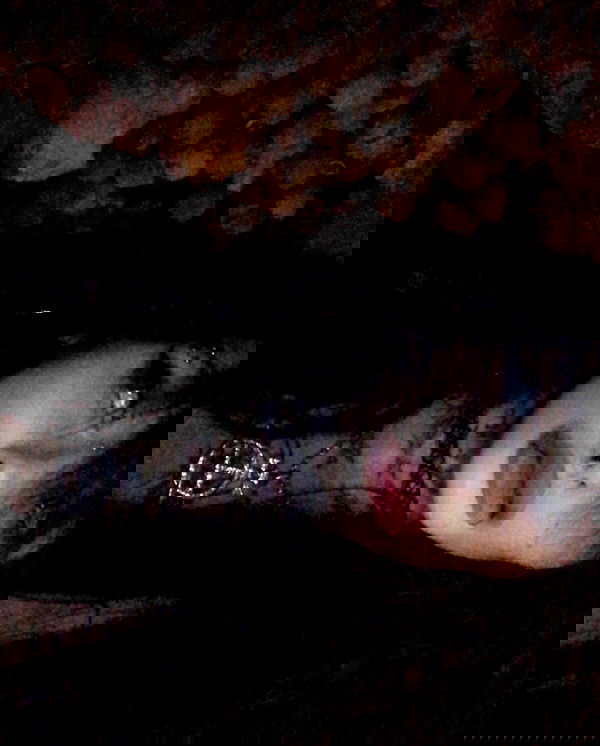 zommmbri image ~ Altpins