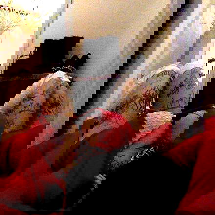 zommmbri image ~ Altpins