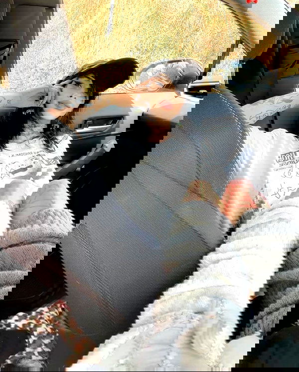 zommmbri image ~ Altpins