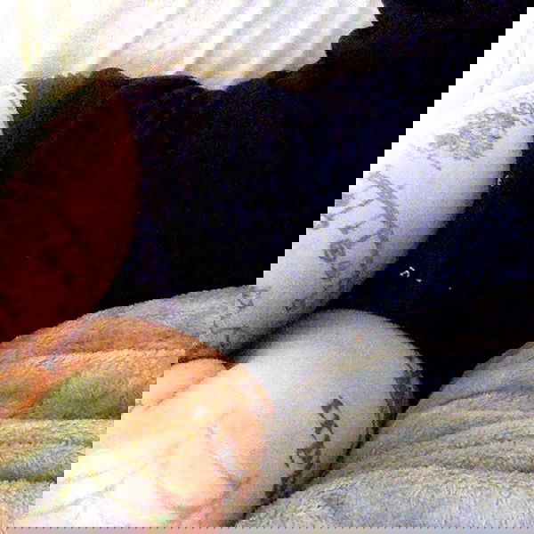 zommmbri image ~ Altpins