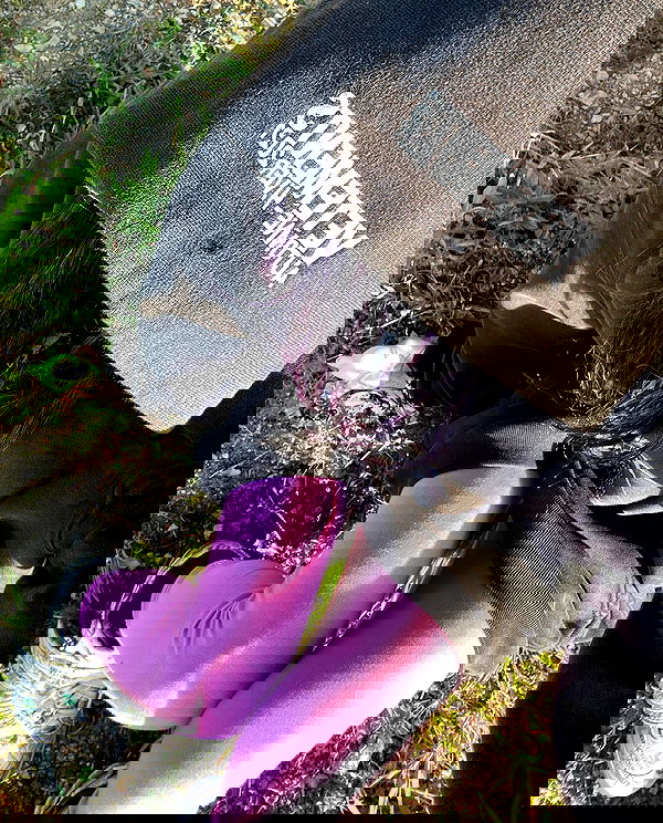 zommmbri image ~ Altpins