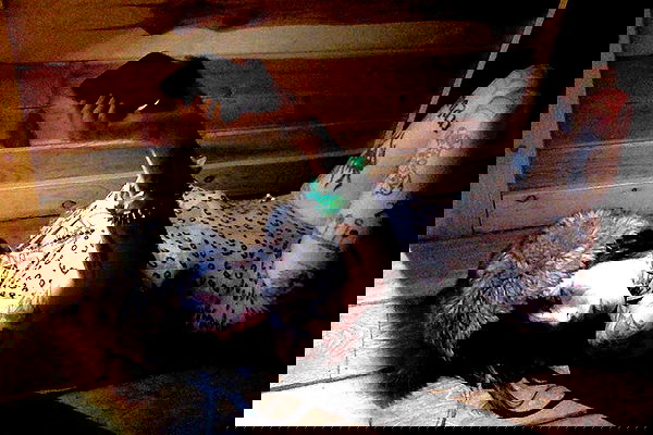 zommmbri image ~ Altpins