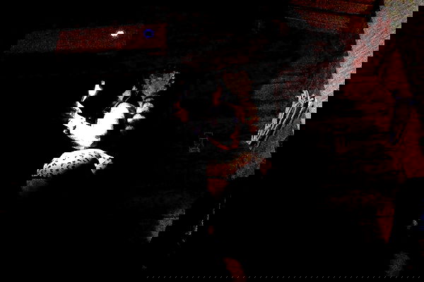 zommmbri image ~ Altpins