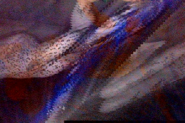 zommmbri image ~ Altpins