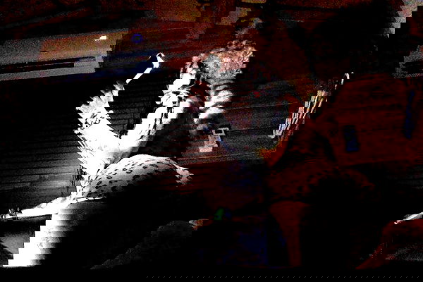 zommmbri image ~ Altpins