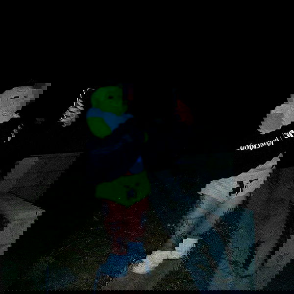 zommmbri image ~ Altpins