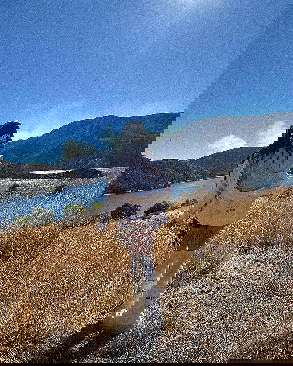 zommmbri image ~ Altpins