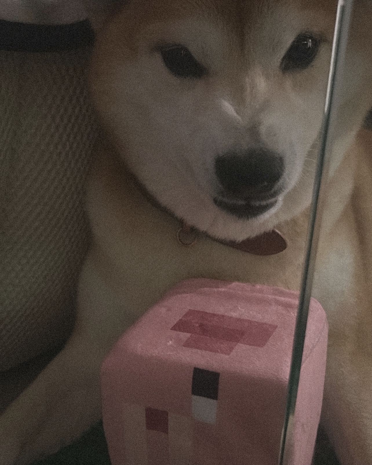 zommmbri instagram image archive image