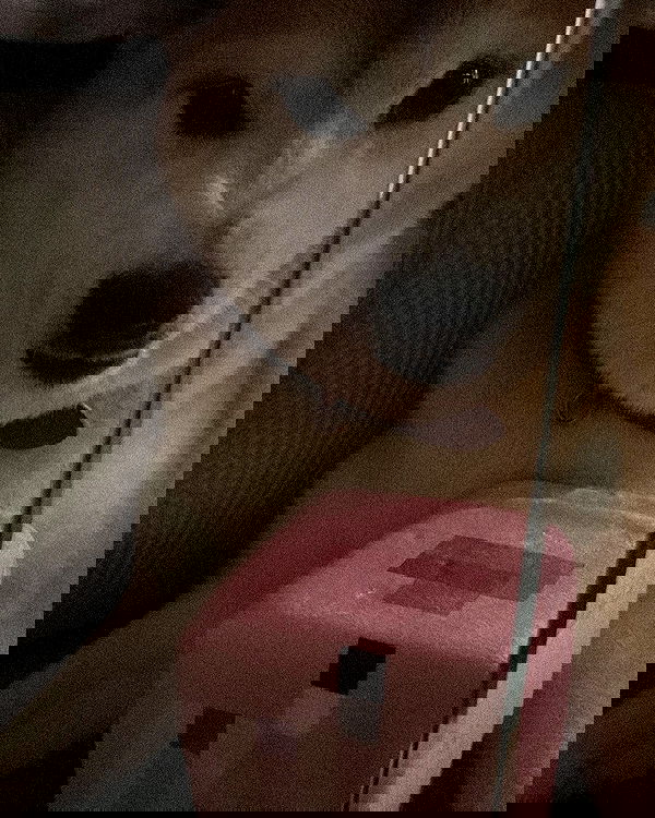 zommmbri image ~ Altpins