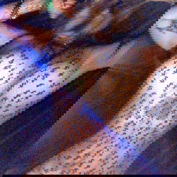 zommmbri image ~ Altpins