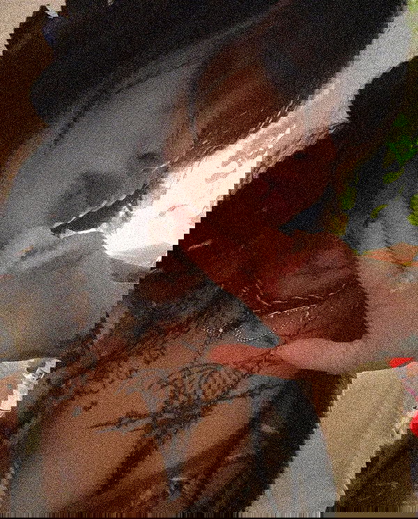 zommmbri image ~ Altpins