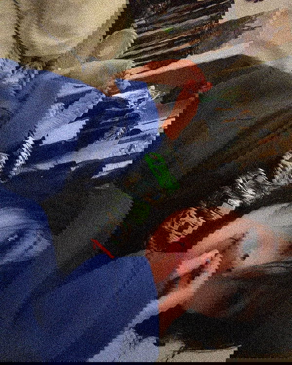 zommmbri image ~ Altpins