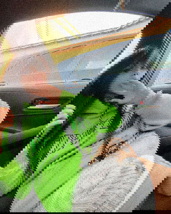 zommmbri image ~ Altpins