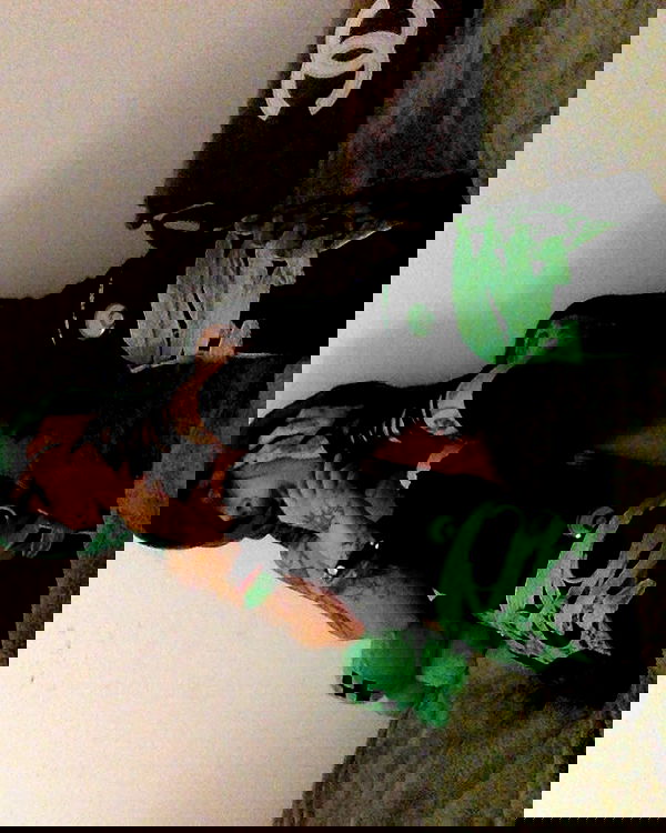 zommmbri image ~ Altpins