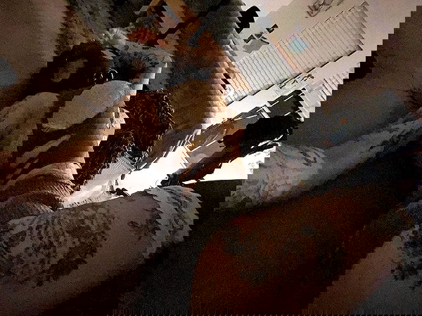 zommmbri image ~ Altpins