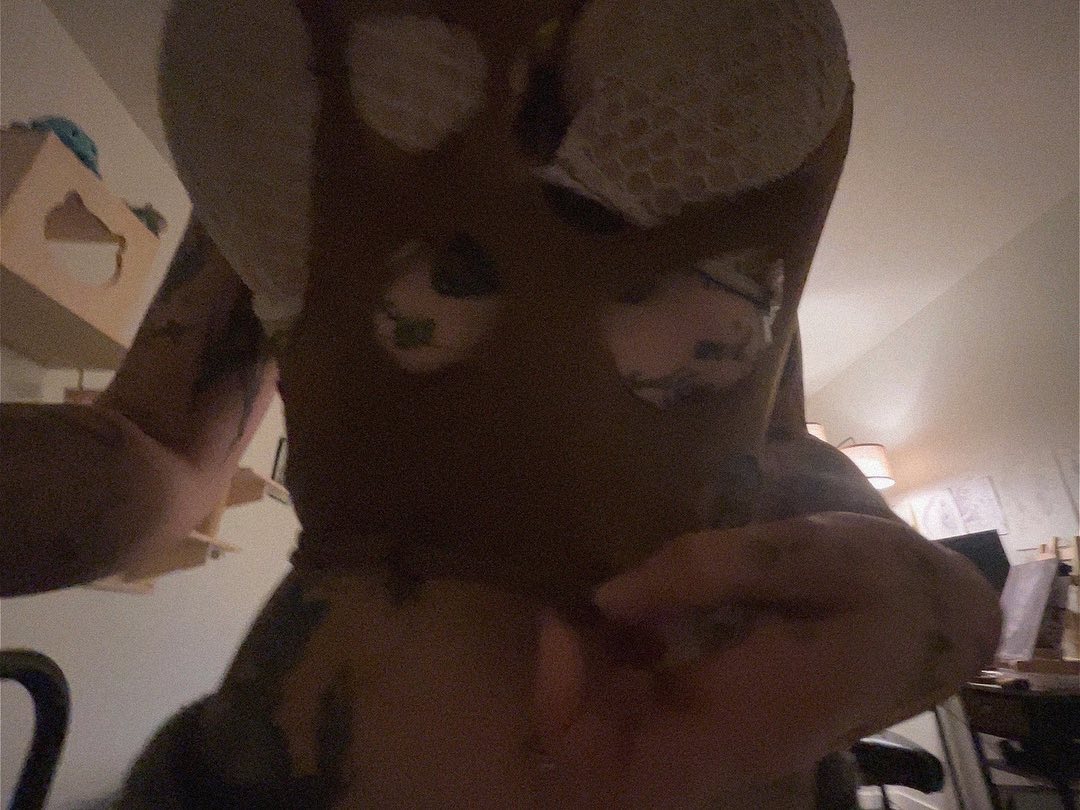 zommmbri instagram image archive image