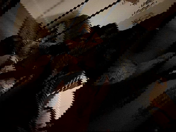 zommmbri image ~ Altpins