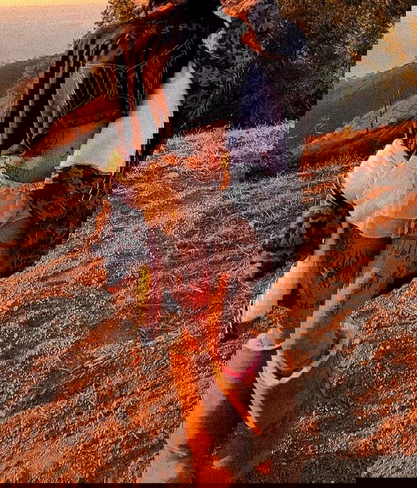 zommmbri image ~ Altpins