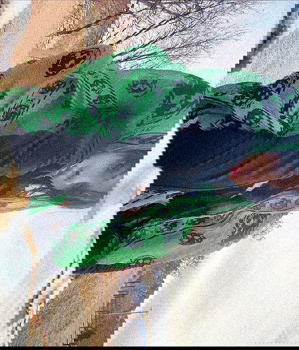 zommmbri image ~ Altpins