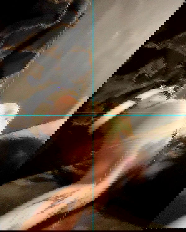 zommmbri image ~ Altpins