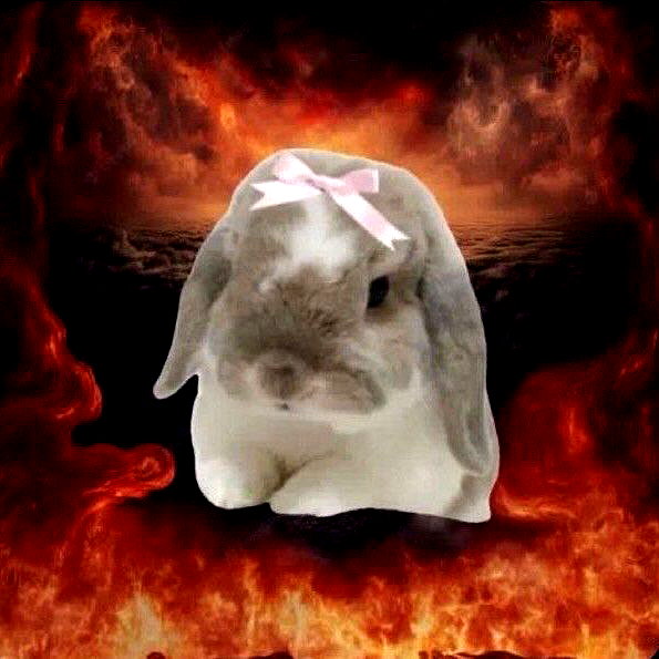 avitallllllll instagram image archive image