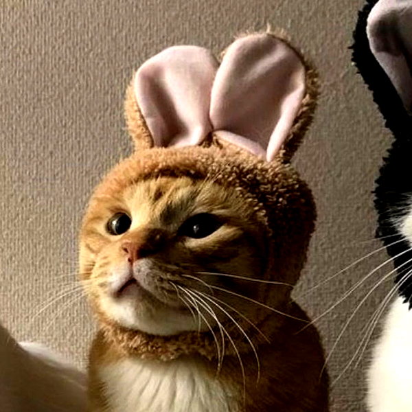 cyberkitty_____ instagram image archive image