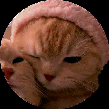 ilqnq_ ilqnq_ archive image
