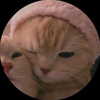 ilqnq_ Altpins Profile Picture