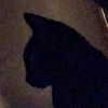 itsnotdatsrs Altpins Profile Picture