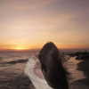 jeenxys Altpins Profile Picture