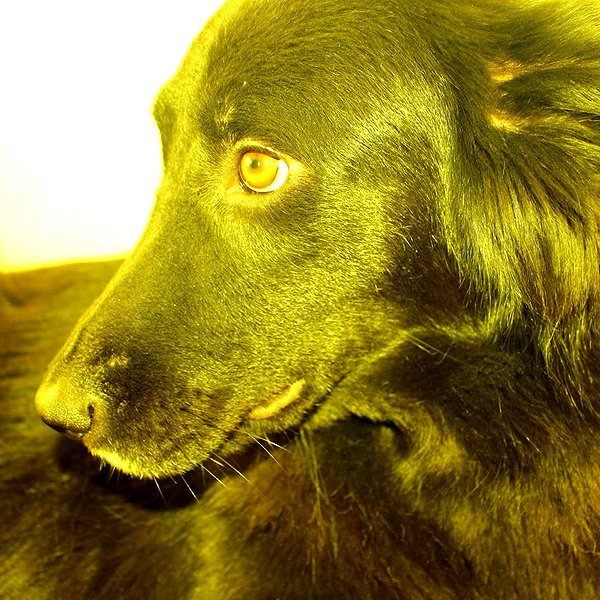 kitty___kitty16 kitty___kitty16 archive image