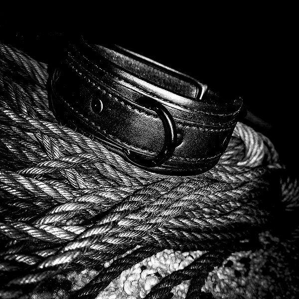 knoty_cat knoty_cat archive image