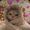 lil.x.nacho Altpins Profile Picture