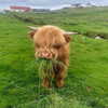 notsick3.0 Altpins Profile Picture
