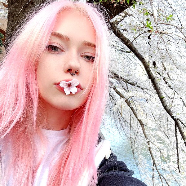 saekkico instagram image archive image