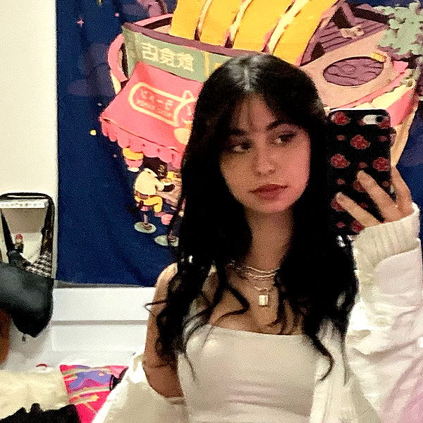 sophia__shemer sophia__shemer archive image