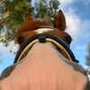 xsmayy Altpins Profile Picture